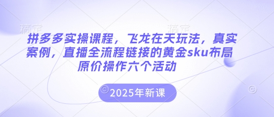 拼多多实操课程，飞龙在天玩法，真实案例，直播全流程链接的黄金sku布局原价操作六个活动-众缘网