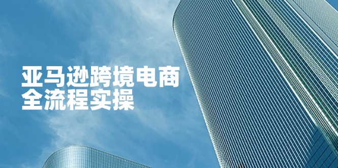 (14252期)亚马逊跨境电商全流程实操,教你从零开始,掌握店铺运营与广告技巧-众缘网