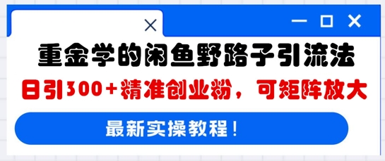 重金学的闲鱼野路子引流法，日引300+精准创业粉，可矩阵放大-众缘网