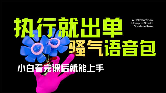 (14170期)爆火全网的开车导航骚气语音包,只要执行就出单,小白看完课程就能实操...-众缘网