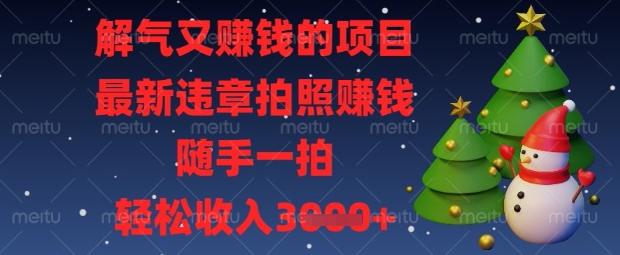 解气又挣钱的项目，最新违章拍照挣钱，随手一拍，轻松收入数张【揭秘】-众缘网